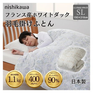  YHъ|zc tXYzCg_bN_E90 1.1kg DP400 S̍H { 5RF38 144053816730 O[mVOOTCYn