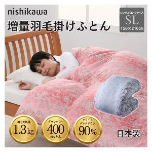  ʍYHъ|zc zCg_bN_E90% 1.3kg DP400 S̍H { 1124111711 sNmVOOTCYn