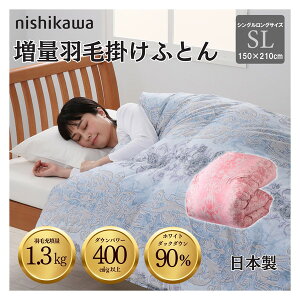  ʍYHъ|zc zCg_bN_E90% 1.3kg DP400 S̍H { 1124111742 u[mVOOTCYn