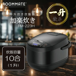 ���ъ� 1�� 10������ �ꏡ �_�C�A�����h�w�b�h ���y���� RM-223H �}�C�R�����ъ� �G�N�v�����I