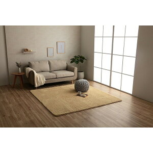 �C�P�q�R�E�R�[�|���[�V���� 1280600021403 �t�B���b�v22 4�� BE 200×300 ���[�J�[����