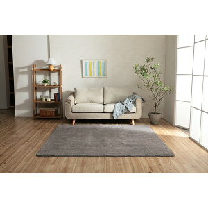 �C�P�q�R�E�R�[�|���[�V���� 1280600131303 �t�B���b�v22 3�� GY 200×250 ���[�J�[����