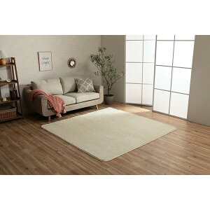 �C�P�q�R�E�R�[�|���[�V���� 1280600141503 �t�B���b�v22 1.5�� IV 130×185 ���[�J�[����