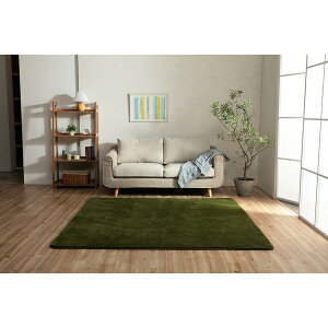 �C�P�q�R�E�R�[�|���[�V���� 1280600211503 �t�B���b�v22 1.5�� OV 130×185 ���[�J�[����