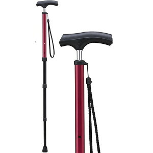 PCzXsA PS-2  V[Y [ |PbgXebL(Lk^Cv) ]