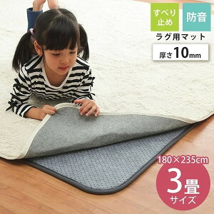 イケヒコ・コーポレーション 1291530015002 ナイス 約3畳用 180×235 メーカー直送