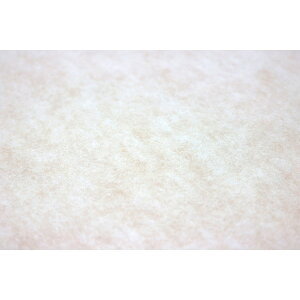 yGg[P5{!1410:00-1623:59z aOrA IzX[p[fM WDP29 BE