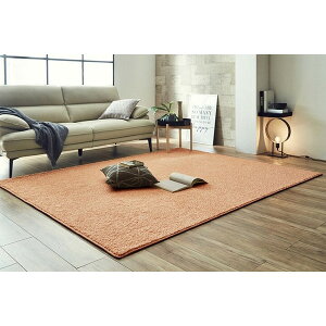 yGg[P5{!1410:00-1623:59z CPqRER[|[V 1340740307603 TeBG ` PPK 200×200 y[sN [J[ybg] [J[