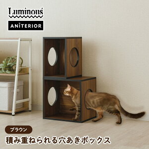 ~iX ςݏd˂錊{bNX uE {bNX [{bNX J[{bNX  Lbg^[ [ ybgƋ ybg L fBXvC gl ɋ gݍ킹 