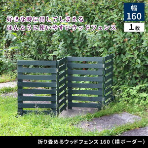 Z܂X^C WF-160YK-DGN ܂߂EbhtFX160({[_[) 1g _[NO[ [J[