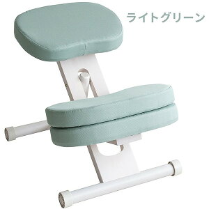 {쏊 611889131 CH-N889CK WHLGR NbVtv|[V`FALbY zCgCgO[ [J[