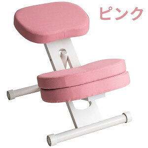 {쏊 611889108 CH-N889CK WHPK NbVtv|[V`FALbY zCgsN [J[