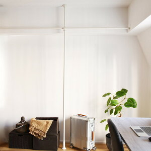 TOSO Naivis ς|[ 3.0m ԃT|[g zCg [J[