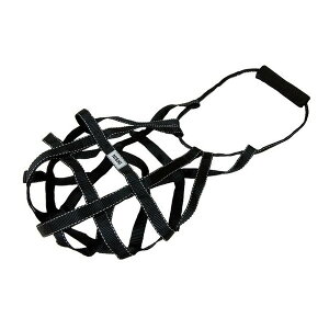 jVX|[c fBV{[X[z_[2 F 960 NT5975B