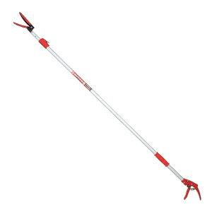 E-Value nLk} EGLP-3