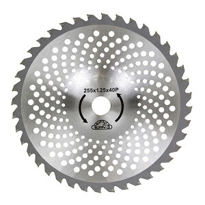 ZteB[3 `bv\[(ڒn) 255mm×40P