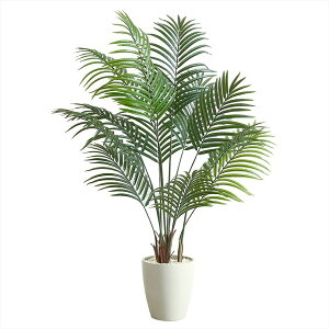 A[oʏ tFCNO[ AJV 1400mm ARE-140IV AC{[ [J[