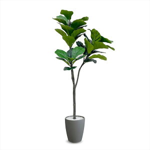 A[oʏ tFCNO[ tBJXE[^ 1200mm VAR-120GY O[ [J[