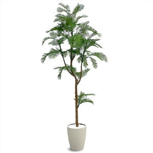 A[oʏ tFCNO[ Go[tbV 1800mm EVE-180IV AC{[ [J[