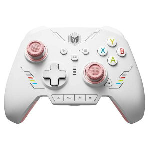 BIGBIG WON RAINBOW 2 SE Pink sN [CX&LQ[~ORg[[ |[O[g1000Hz (WindowsPC/Switch/iOS/AndroidΉ)]