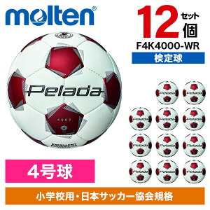 y12Zbgze ؃[_ 4000 4  F4K4000-WR [TbJ[{[]