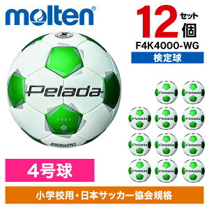 y12Zbgze ؃[_ 4000 4  F4K4000-WG [TbJ[{[]