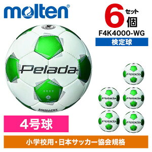 y6Zbgze ؃[_ 4000 4  F4K4000-WG [TbJ[{[]