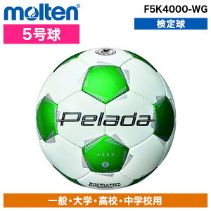 TbJ[{[ e 5 ؃[_ 4000 苅 D F5K4000-WG Δ X^_[hf ϖ z\ w Z  Nu `[