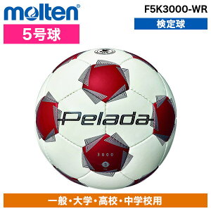 �����e�� �����e�� �؃��[�_ 3000 5�� ���� F5K3000-WR [�T�b�J�[�{�[��] xp10n