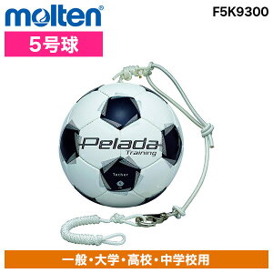 e e ؃[_ g[jO ebT[ F5K9300 [TbJ[{[]