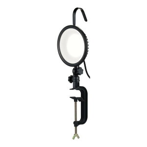 ���V WLT-C30LA EM [���^LED���[�N���C�g30W�����F]