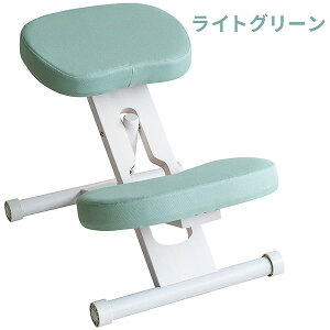 {쏊 CH-N88W WHLGR zCgCgO[ [v|[V`FA] [J[