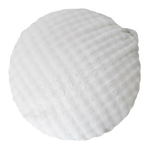 {쏊 CN-1350 WH zCg Foure(t[) [ӂƂr[YNbV\t@] [J[