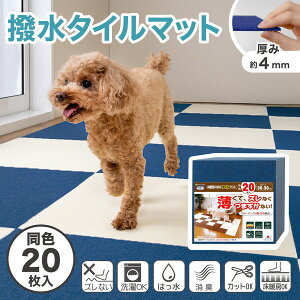 TR[ z bt ybgp^C}bg 30cm×30cm 20 lCr[u[  L TR[ J[ybg y{  L 􂦂 nT~ŃJbgz KV-73