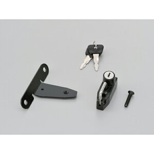 fCgi D91599 wbgz_[ REBEL250/500 V