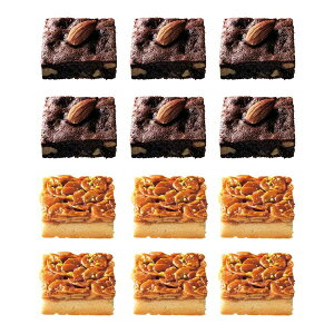 uEj[&t^ 12 AST126 OCEAN&TERRE I[Ve[ Mtg v[g ̓ ̓  Ε Ԃ oY  w j j @v TԂ j [J[