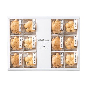 ЂŒZbgE A449 OCEAN&TERRE I[Ve[ Mtg v[g ̓ ̓  Ε Ԃ oY  w j j @v TԂ j [J[