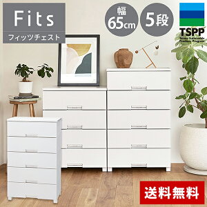 yr[eŃv[gz Vn tBbc`FXg `FXg ߑP[X [P[X [{bNX ߗގ[ 6504 6505 zCg O[ o vX`bN 4i 5i 65 85cm 105cm 