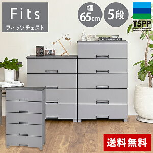 【レビュー投稿でプレゼント】 天馬 フィッツチェスト チェスト 衣装ケース 収納ケース 収納ボックス 衣類収納 6504 6505 ホワイト グレー 引き出し プラスチック 4段 5段 幅65 高さ85cm 高さ105cm
