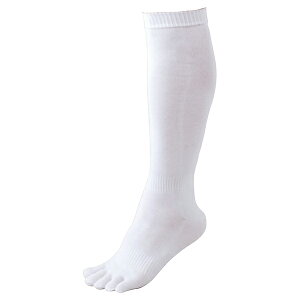 ZETT [bg 싅ANZT[ 3P5{w\bNX zCg 24-27 BK035L 1100