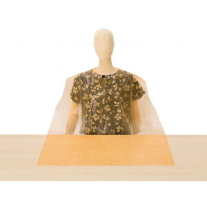 Fs{ HpGvg^Cv50 IW [J[