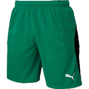 PUMA v[} TbJ[EGA LIGA WjA GK pc pbhc ybp[ O[×v[} zCg 140 729968 02