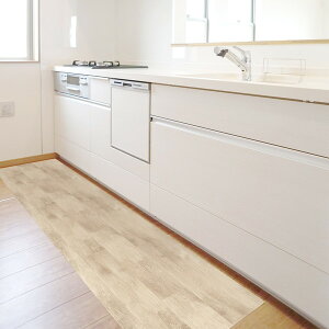 aOrA REN-16 NEbh IV 45x240cm [mxV[g]