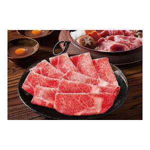 yⓀz ɓnt[h\[V s勴јaĂ 640g [J[ Mtg v[g Ε ~Mtg