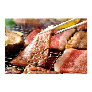 Is ~`N {鋍oēp 300gx1 [J[ Mtg v[g