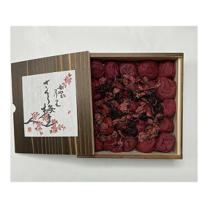 yGg[P5{!1410:00-1623:59z B_ B ~ 800gx1 [J[ Mtg v[g