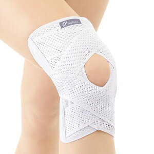 At@bNX 202639 ҂̂Gxg LL