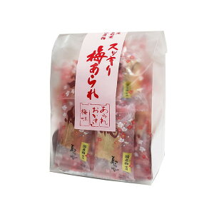 X XbL~ 53gx12 [J[ Mtg v[g