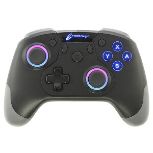 TCo[KWFbg SWITCHp Q[~ORg[[ HG ^Cv CY-NSOGCWL-BK