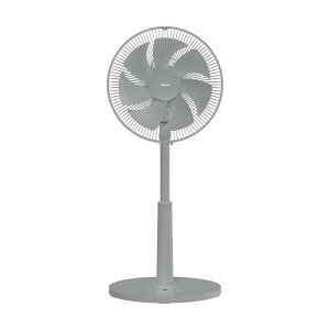 RP YLRP-CJD30(H) [rO@ (DC[^[/Rt)]